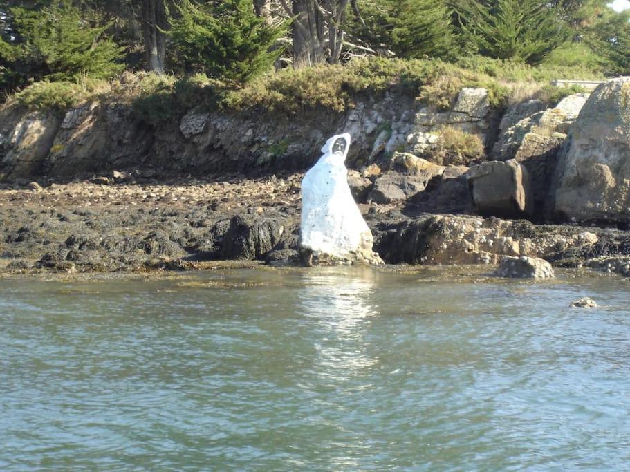 Willa Entre Golfe Et Ocean La Trinité-Surzur Zewnętrze zdjęcie