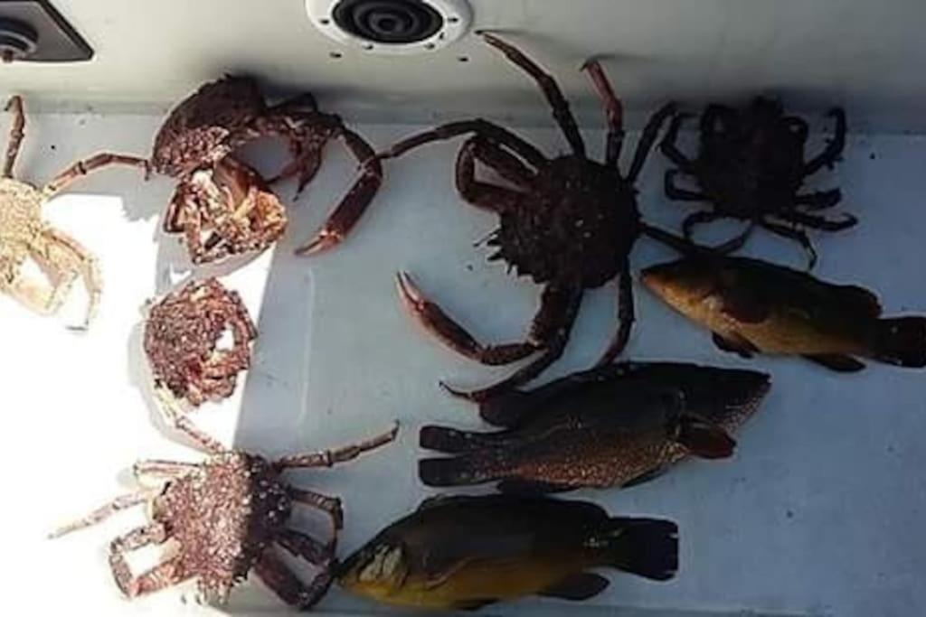 Willa Entre Golfe Et Ocean La Trinité-Surzur Zewnętrze zdjęcie