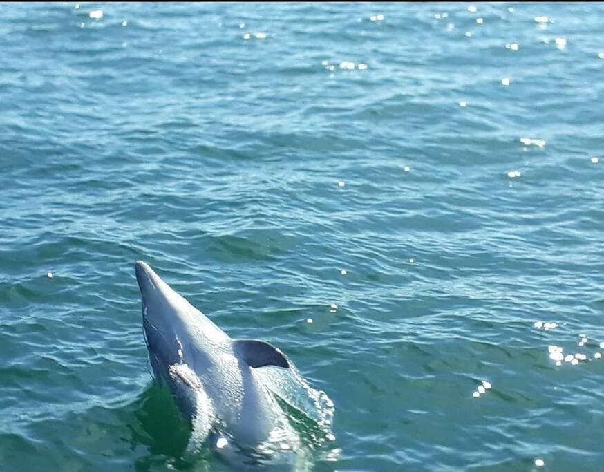 Willa Entre Golfe Et Ocean La Trinité-Surzur Zewnętrze zdjęcie