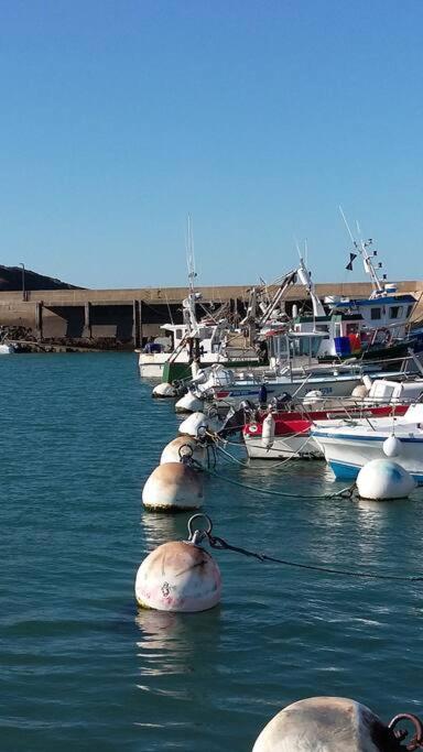 Willa Entre Golfe Et Ocean La Trinité-Surzur Zewnętrze zdjęcie